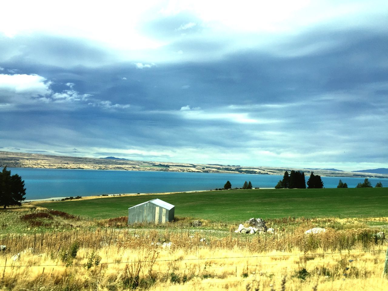 Near Lake Pukaki