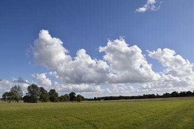 View of trees on grassy landscape against cloudy sky