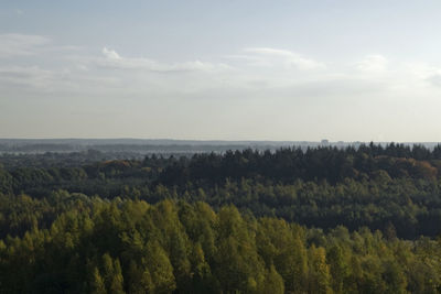 Scenic view of forest against sky