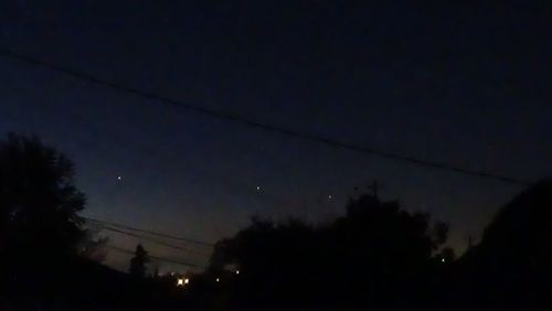 Low angle view of trees against sky at night