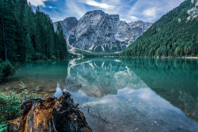 Mountain lake in the dolomites, south tyrol in italy. the pragser wildsee, or lake prags, 