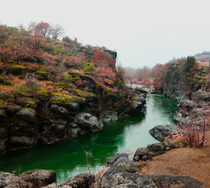 Scenic view of waterfall in forest against clear sky