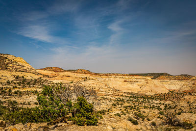 Scenic view of desert against sky