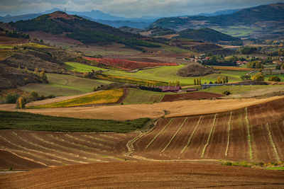 Scenic view of agricultural field against sky