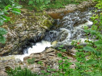 High angle view of waterfall in forest