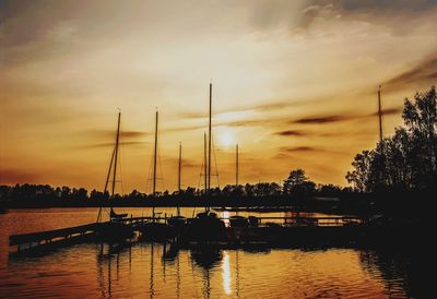 Sailboats in marina at sunset
