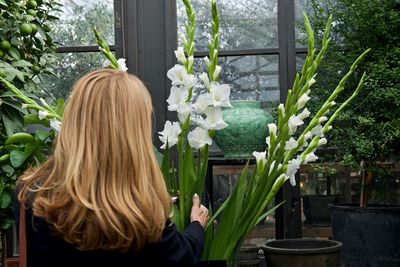 Rear view of senior woman looking at plants in greenhouse