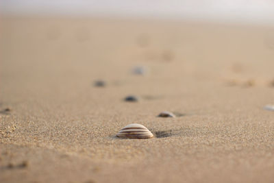 Close-up of footprints on sand at beach