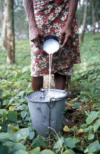 Midsection of woman pouring latex in bucket from coconut shell