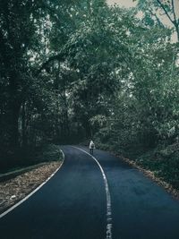 Road by trees in forest