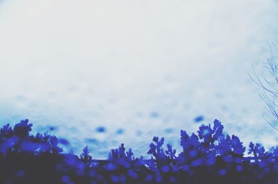 Scenic view of clouds in sky