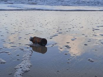 Scenic view of sea shore