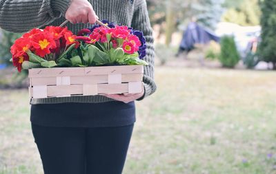 Midsection of person holding flowering plants in box
