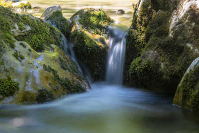 Scenic view of waterfall in forest