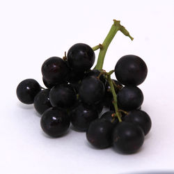 Close-up of grapes against white background