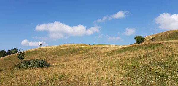 Scenic view of land against sky