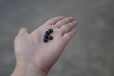 Close-up of hand holding ring