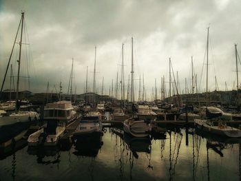 Boats moored at harbor