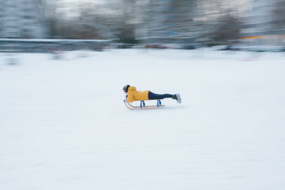 Toy on snow covered field