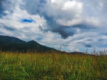 Scenic view of field against sky