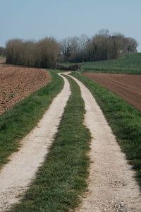 Dirt road amidst field against sky