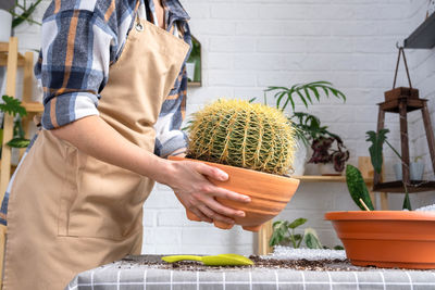 Midsection of woman holding fruit