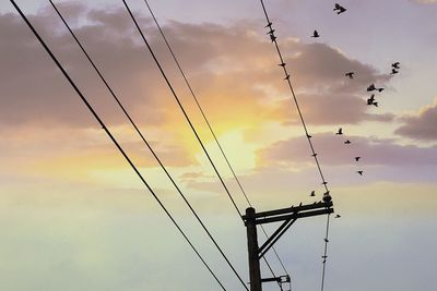 Low angle view of silhouette birds against sky during sunset