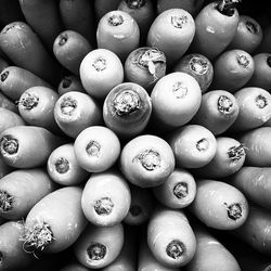 Full frame shot of food for sale