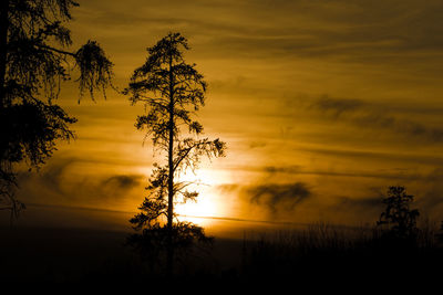 Silhouette trees against dramatic sky during sunset