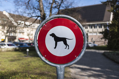 Close-up of road sign against trees