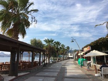 Road by palm trees and buildings against sky