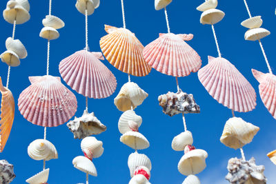 Low angle view of shells against the sky