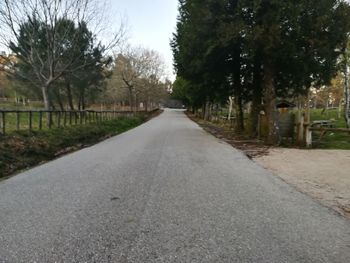 Empty road along trees