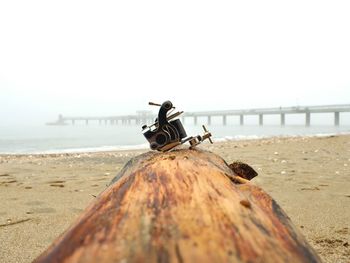 Man on beach against sky