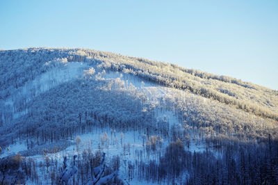 Scenic view of snowcapped mountains against clear blue sky