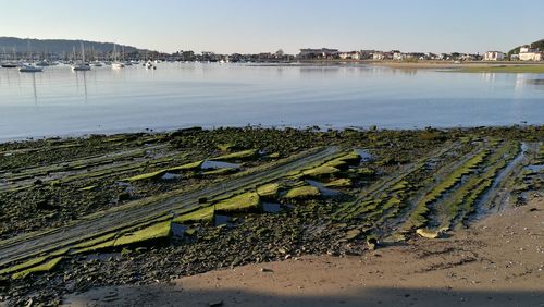 Scenic view of shore against sky