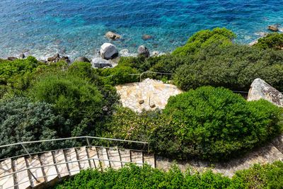 High angle view of plants and rocks by sea