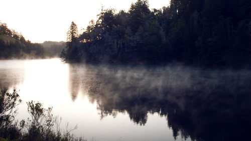 Scenic view of lake in forest against sky