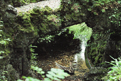 Scenic view of waterfall in forest