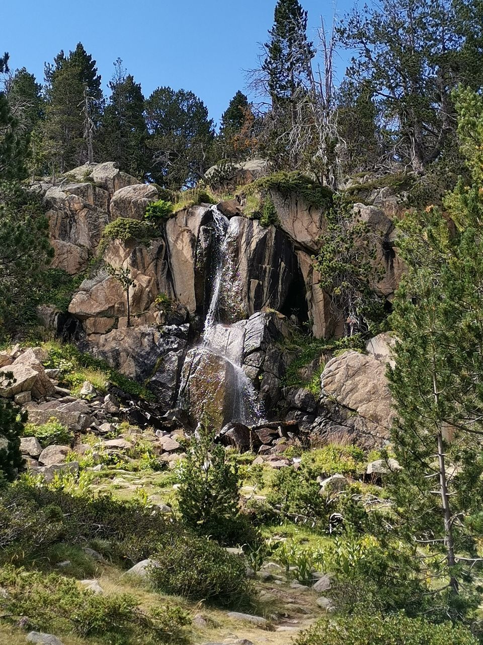 SCENIC VIEW OF WATERFALL IN FOREST