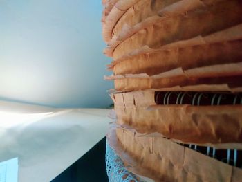 Close-up of seashells on table