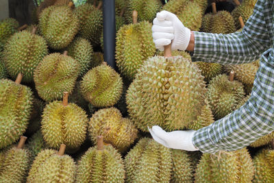 Cropped hands holding durian in market