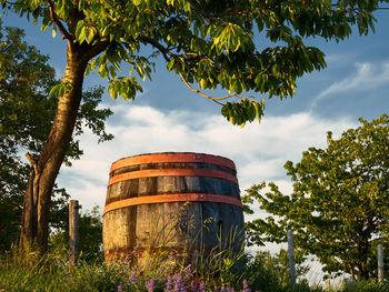 Wine cask amidst trees on field against cloudy sky