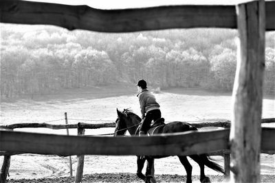 Jockey on horse running in ranch