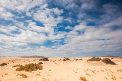 Scenic view of desert against sky