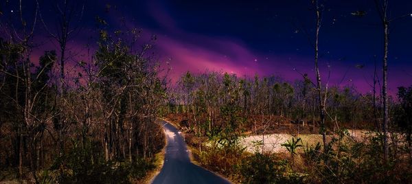 Panoramic view of road amidst trees against sky at night