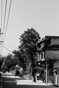 Trees by building against sky
