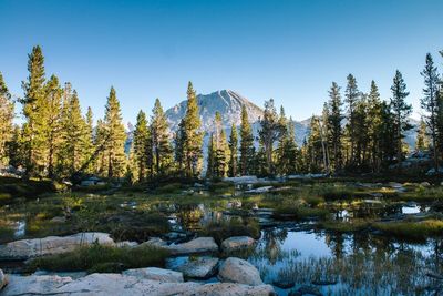 Scenic view of lake against clear sky