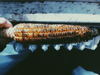 Close-up of hand holding roasted corn