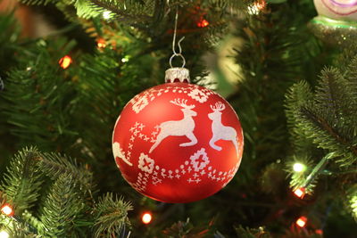 Close-up of red christmas tree